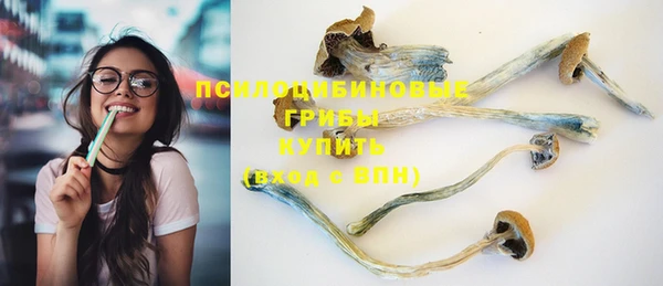ГАЛЛЮЦИНОГЕННЫЕ ГРИБЫ Абдулино