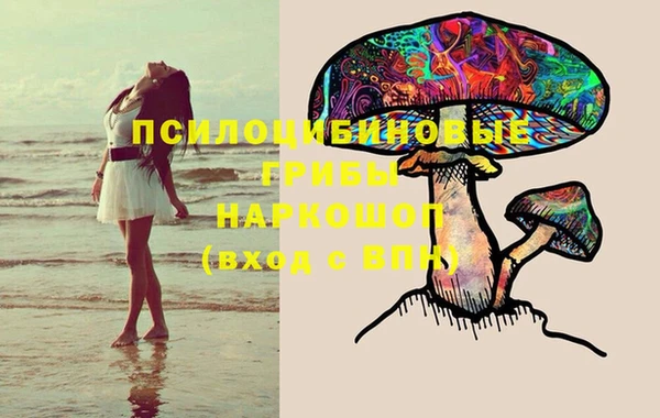 винт Алзамай