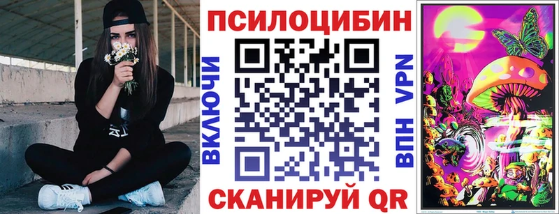 где купить наркотик  blacksprut ссылки  Псилоцибиновые грибы Psilocybe  Ессентукская 